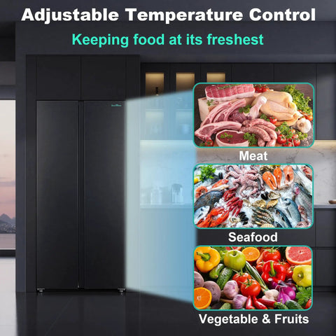 15.6 Cubic Foot Side By Side Refrigerator In Sleek Black showcasing adjustable temperature control for meat, seafood, and fruits.