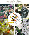 3 Pack Garden Pruning Shears With Stainless Steel Blades and Ergonomic Non Slip Handles in a garden setting with flowers and fruits.