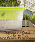 Transparent water container tray for growing plants with visible roots and sprouts in a greenhouse setting.