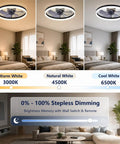 Smooth Breeze 20 Inch Ceiling Fan With Light And Remote Low Profile Flush Mount Dimmable Fandelier showcasing warm, natural, and cool white lighting options.