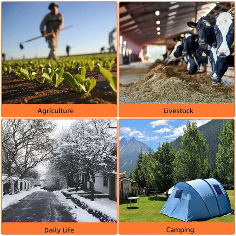 Collage of four scenes: farming with person and seedlings, cows in barn, snowy street, and blue tent at campsite.