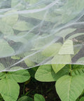 Fortify Your Garden With A 4 By 10 Foot Plant Netting Pest Barrier That Fends Off Insects Birds And Critters And Lets You Grow Vegetables Fruit And Flowers In Raised Beds Or Greenhouses over green plants