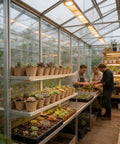 Breathable Germination Pots For Seedlings Paper Pulp Nursery Pots With Drainage in greenhouse with people tending plants