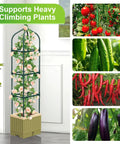 All-in-One Raised Garden Bed Planter Box With Trellis, 71 Inch Self-Watering Tomato Planter For Climbing Vegetables, indoor setup
