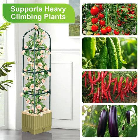 All-in-One Raised Garden Bed Planter Box With Trellis, 71 Inch Self-Watering Tomato Planter For Climbing Vegetables, indoor setup
