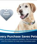 Close-up of a smiling rescued dog with a collar and heart tag labeled 'Meet Maggie Rescued 2011'.