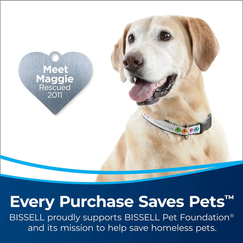 Close-up of a smiling rescued dog with a collar and heart tag labeled 'Meet Maggie Rescued 2011'.