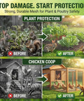 Before and after using 16 Inches Wide By 20 Feet Long Hardware Cloth Heavy Duty One Quarter Inch Mesh for plant and chicken protection.