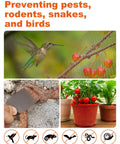 Collage: Bird near mesh, copper mesh sealing gap, plants in mesh pots; 5 Inch Copper Mesh Roll For Pest Proofing Heavy Duty Wire Screen.