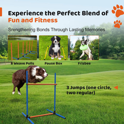 Dog using 4-Piece Dog Agility Training Kit With Adjustable Hoop Jump Weave Poles Pause Box And Outdoor Obstacle Course Gear
