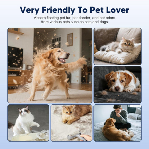 Collage of pets including a dog playing, a cat resting, and a person interacting with a dog, illustrating pet-friendly living spaces.