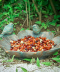 Antique Resin Bird Bath For Outdoors, Flower Shaped Garden Bird Bath With Vintage Bird Ornament filled with seeds on ground