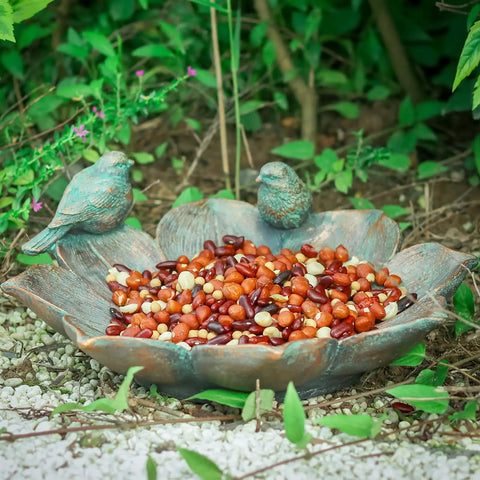 Antique Resin Bird Bath For Outdoors, Flower Shaped Garden Bird Bath With Vintage Bird Ornament filled with seeds on ground