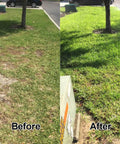 Lawn before and after using Three In One Lawn Aerator And Cultivator, 37 Inch Manual Plug Aerator With 4.7 Inch Iron Tines.