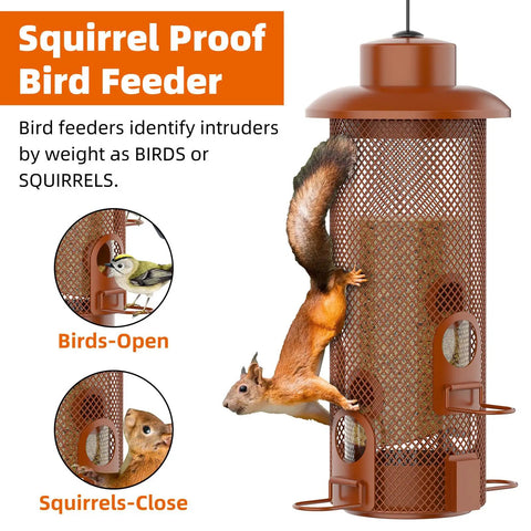 Weight Activated Squirrel Proof Bird Feeder For Outdoor Use Large Capacity Keeps Squirrels From Stealing Seed While Finches Cardinals And Chickadees Feed Freely Weatherproof Durable Construction In Reddish Brown showing bird and squirrel
