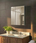 Heavy Duty Anodized Aluminum Bathroom Medicine Cabinet Featuring Adjustable Tempered Glass Shelves And Mirrored Interior mounted above a vanity.