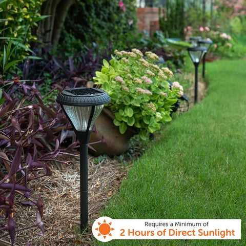 Outdoor Solar Pathway Lights 2-Pack, 2 Color LEDs illuminating garden with black rugged cast aluminum housing in landscape