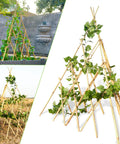 Expandable Bamboo Teepee Trellis For Climbing Plants No Fuss Self Standing Garden Support Perfect For Vines Flowers And Vegetables Indoors Or Outdoors