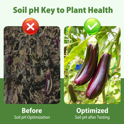 Comparison of plant health before and after using Soil pH Test Kit With 150 Strips 3 To 9 Range For Testing Garden Lawn Vegetables