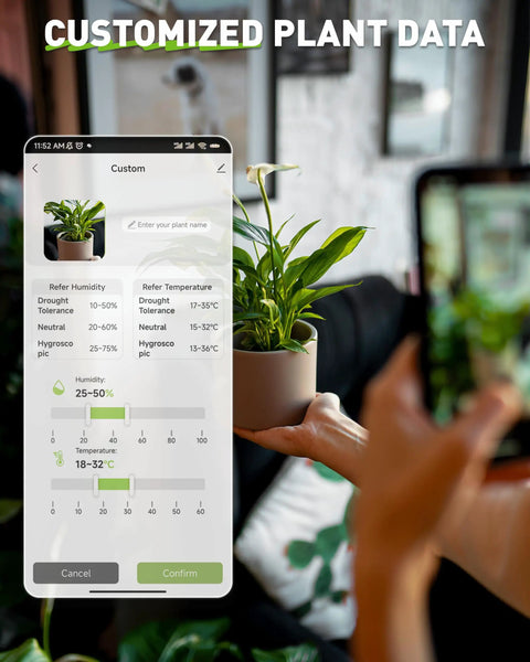 User holding plant next to phone app showing data for Bluetooth 2-In-1 Soil Moisture And Air Temperature Meter With App Remote Monitoring.