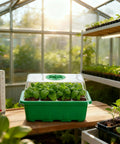 5 Pack Seed Starter Trays Kit With Clear Humidity Dome And Base Indoor Greenhouse Propagator on wooden table with plants.