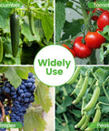 Different climbing plants like cucumber, tomato, grapes, and peas using the Foldable Cucumber Trellis 2 Pack A Frame Garden Support For Climbing Plants 46 Inch Long By 18 Inch Wide Steel Frame With Green Powder Coat Includes No Fuss Easy Setup Twist Ties And Plant Bags For Backyard Raised Bed Gardens