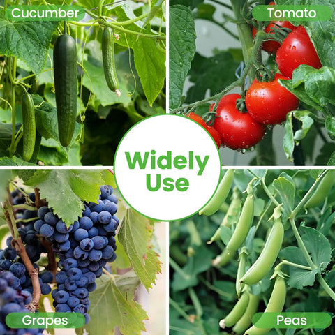 Different climbing plants like cucumber, tomato, grapes, and peas using the Foldable Cucumber Trellis 2 Pack A Frame Garden Support For Climbing Plants 46 Inch Long By 18 Inch Wide Steel Frame With Green Powder Coat Includes No Fuss Easy Setup Twist Ties And Plant Bags For Backyard Raised Bed Gardens