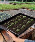 Person holding Six Pack Seedling Trays Without Drain Holes For Easy Watering In Indoor Greenhouse Germination Plastic Nursery Potting Trays
