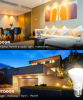 Indoor and outdoor use of BR20 LED Light Bulbs 20 Pack Power Saver 6W 50W Replacement, illuminating living room and garage.
