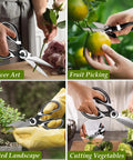 2 Piece Garden Shears And Flower Scissors Set With 2.5mm Thick Stainless Steel Blades, used for flower art and fruit picking.