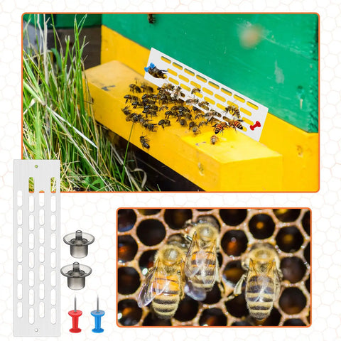 Beekeeping Starter Kit 11 Piece Queen Bee Marking Set showing entrance gate and bees on yellow beehive.