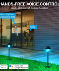 Lit 200LM Smart Outdoor Pathway Lights With 12V Low Voltage And App Control illuminating garden path with Alexa compatibility