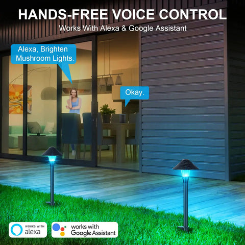 Low Voltage Smart Pathway Lights With App Control illuminating garden, showing Alexa compatibility with adjustable warm white.
