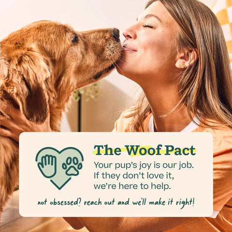 Power Chewer Pupsicle Dog Treat Toy For Strong Chewers Ultra Durable Rubber Chew Ball For Medium Dogs 25 To 75 Lbs Easy To Clean Long Lasting Fun That Keeps Pups Busy. woman holding golden retriever