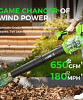 Person using Cordless Leaf Blower With 650 CFM And 180 MPH, Brushless Powerhouse with 2x5.0Ah Batteries on leaves