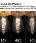 Vintage Edison Light Bulbs 60W 4 Pack ST58 Squirrel Filament Clear Glass E26 E27 Dimmable Warm White 2100K dimming levels 90% 60% 30%