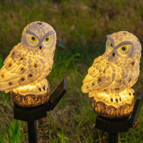 Owl Figure Solar LED Lights 2 Pack Garden Decor With Stakes Battery Free Outdoor Yard Pathway Lighting, glowing at night