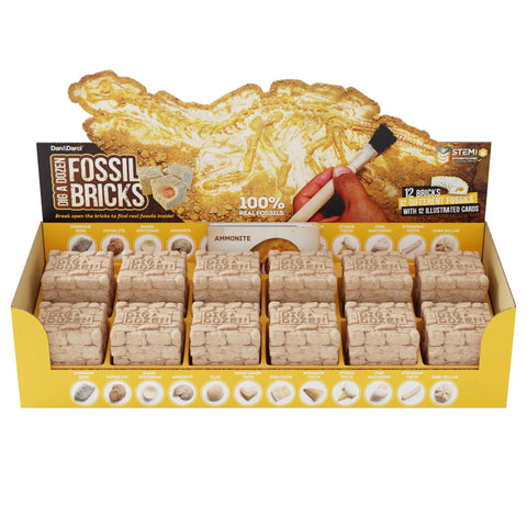 Dig Up 12 Real Fossils From Break Open Brick Blocks And Discover 12 Unique Finds Like Dinosaur Bones Coprolite Shark Vertebrae And More Hands On STEM Archaeology Gift For Curious Kids fossil excavation kit with 12 bricks and guide cards