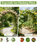 Sturdy Metal Garden Arbor Frame Stand Arch Trellis For Climbing Plants And Wedding Backdrop Outdoor Decor In Black Coated Finish Measures About 8.4 By 4.6 Feet For Patio Yard Or Backyard Use with climbing flowers and vegetables.