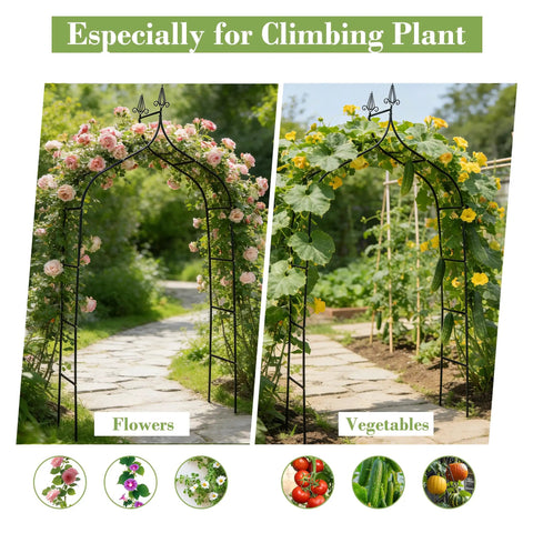 Sturdy Metal Garden Arbor Frame Stand Arch Trellis For Climbing Plants And Wedding Backdrop Outdoor Decor In Black Coated Finish Measures About 8.4 By 4.6 Feet For Patio Yard Or Backyard Use with climbing flowers and vegetables.