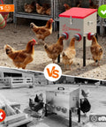 Comparison of Top Shelf Metal Chicken Feeder With 30 Pound Capacity and Six Accessible Ports with competitor's feeder.