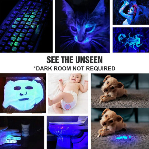 365 Nanometer UV Black Light Flashlight With IP68 Waterproof Build showing pet stains, scorpions, and other UV-reactive objects