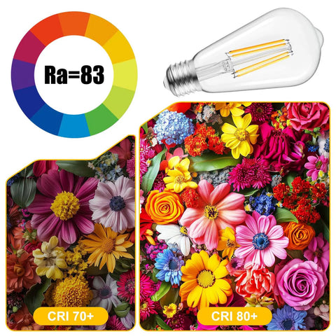 Four Pack LED Edison Bulbs 6W 750 Lumens 2700K Warm White with CRI 83+ displayed next to vibrant flower color charts.
