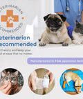 Pet First Aid Kit For Cars And Travel With Digital Thermometer Muzzle And Mini First Aid Pouch Vet Endorsed Cat And Dog Emergency Kit