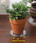 Two Pack 4 Inch Clear Acrylic Lazy Susan Turntable Set With Ball Bearing 360 Degree Rotation showcasing plant display
