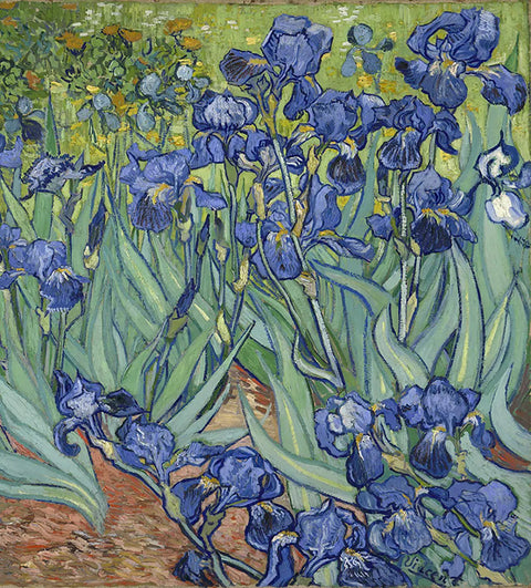 Magnetic Dishwasher Cover For Front Panel With Van Gogh Irises Print, Reusable Decal, Decorative Dishwasher Magnet, 23.5 x 26 in