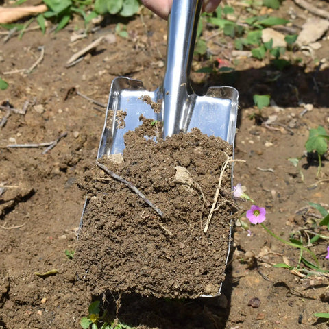 Stainless Steel Garden Trowel Hand Shovel for Planting, Transplanting, and Weeding, shown digging soil in a garden bed