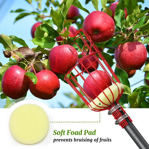 Long Reach 13 Foot Fruit Picker With Basket And Adjustable Stainless Steel Pole Grabber Tool for apples with soft foam pad.