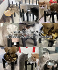 Elevated Dog Water Dispenser Stand And Adjustable Pet Feeder Holder Designed For Large Breeds making mealtime clean and easy.