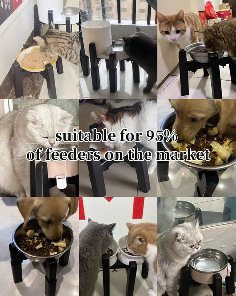 Elevated Dog Water Dispenser Stand And Adjustable Pet Feeder Holder Designed For Large Breeds making mealtime clean and easy.